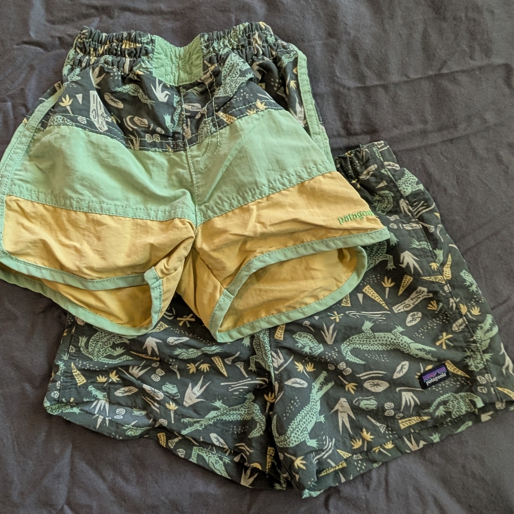 Patagonia Green and Yellow Shorts Set